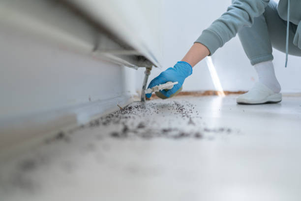 Pest Control Cost in Deer Lodge, MT